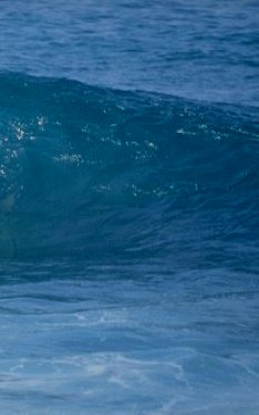 L'étendue terrestre