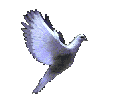 oiseau_bf32.gif (27120 octets)
