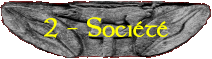 2 - La société celtique