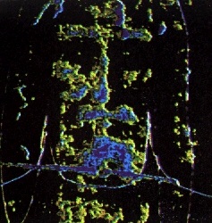 face suaire numérisée