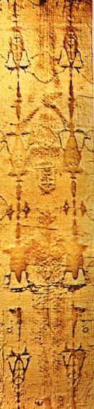 image suaire complète