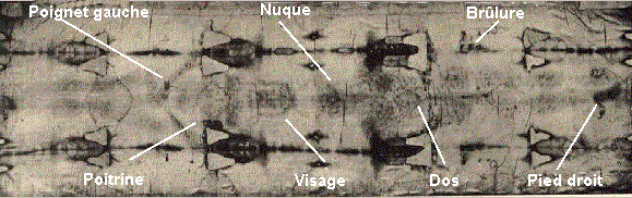 Linceul de Turin en positif noir et blanc