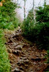 cliquez sur la photo