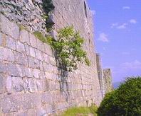 cliquez sur la photo