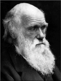  < Charles Darwin (1809-1882) >