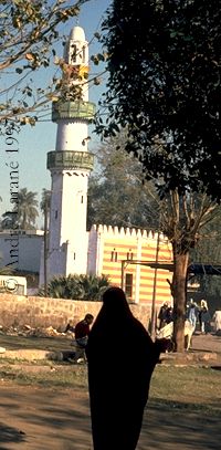 Un minaret, une silhouette voilée... 