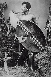  < guerrier zoulou  > 