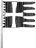 Etendard de l'Hospital