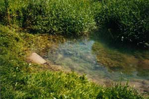 fontaine qui guérit