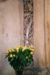 cliquez pour agrandir