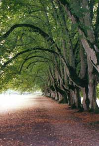 cliquez pour agrandir