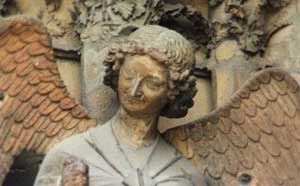 cliquez pour agrandir